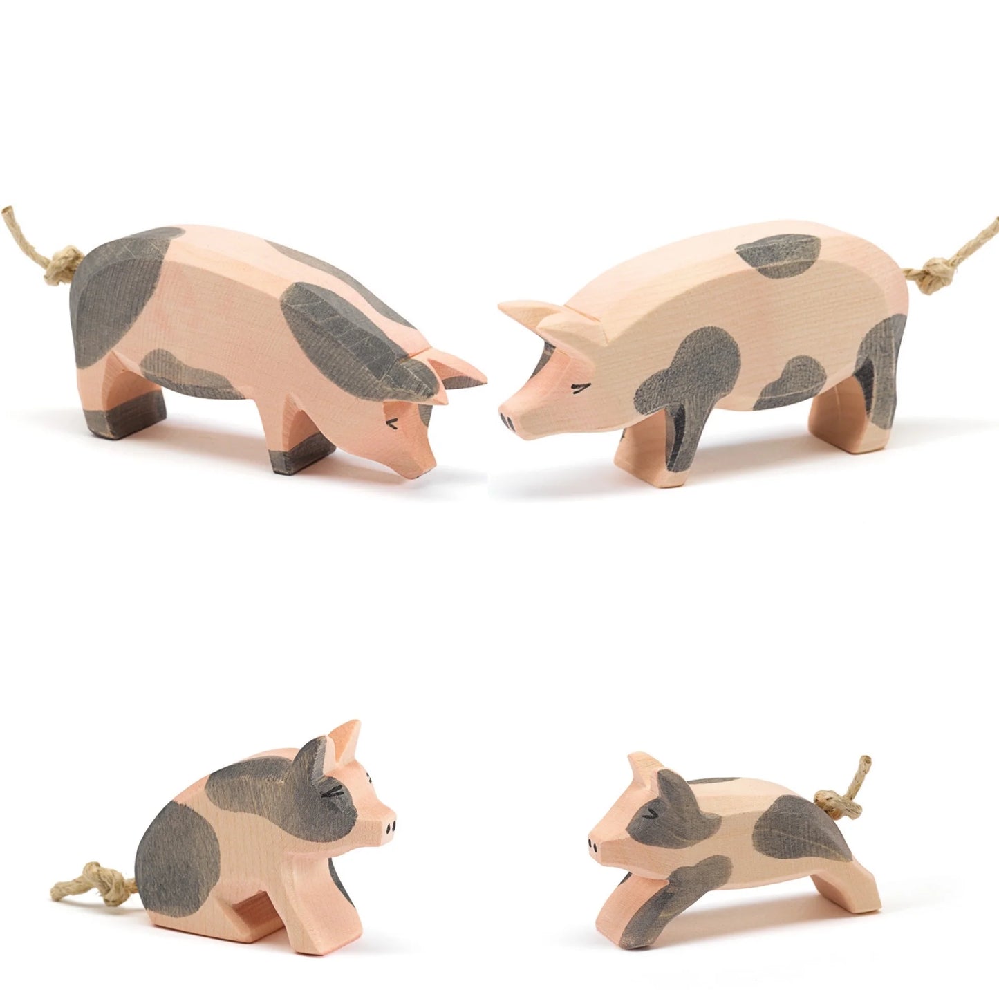 SPOTTED PIGLET SITTING
