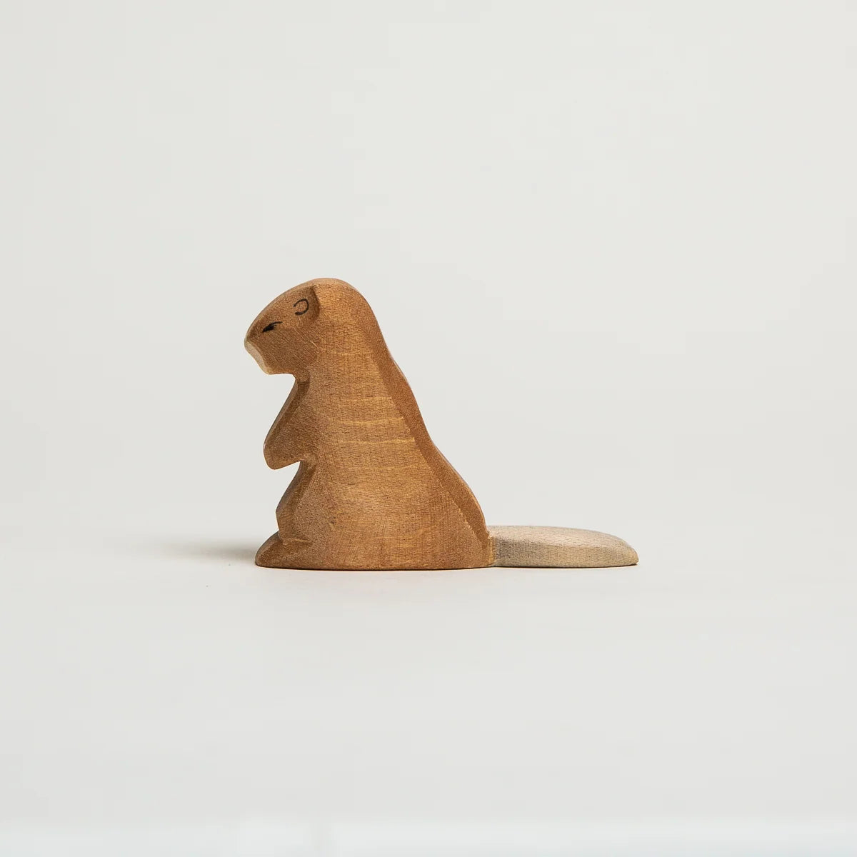 BEAVER SITTING