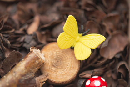 LITTLE WOODLAND BOX