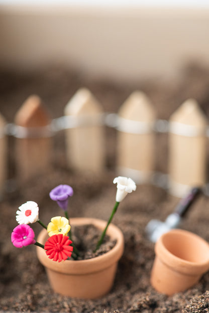 LITTLE GARDEN BOX