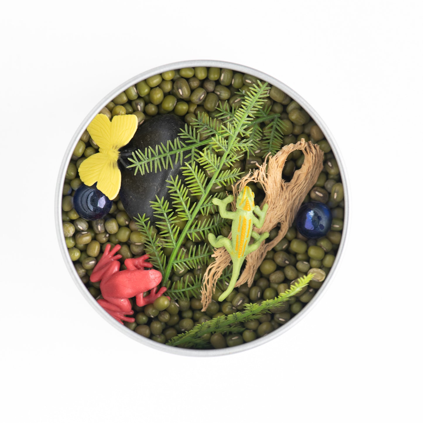 RAINFOREST TINY TIN