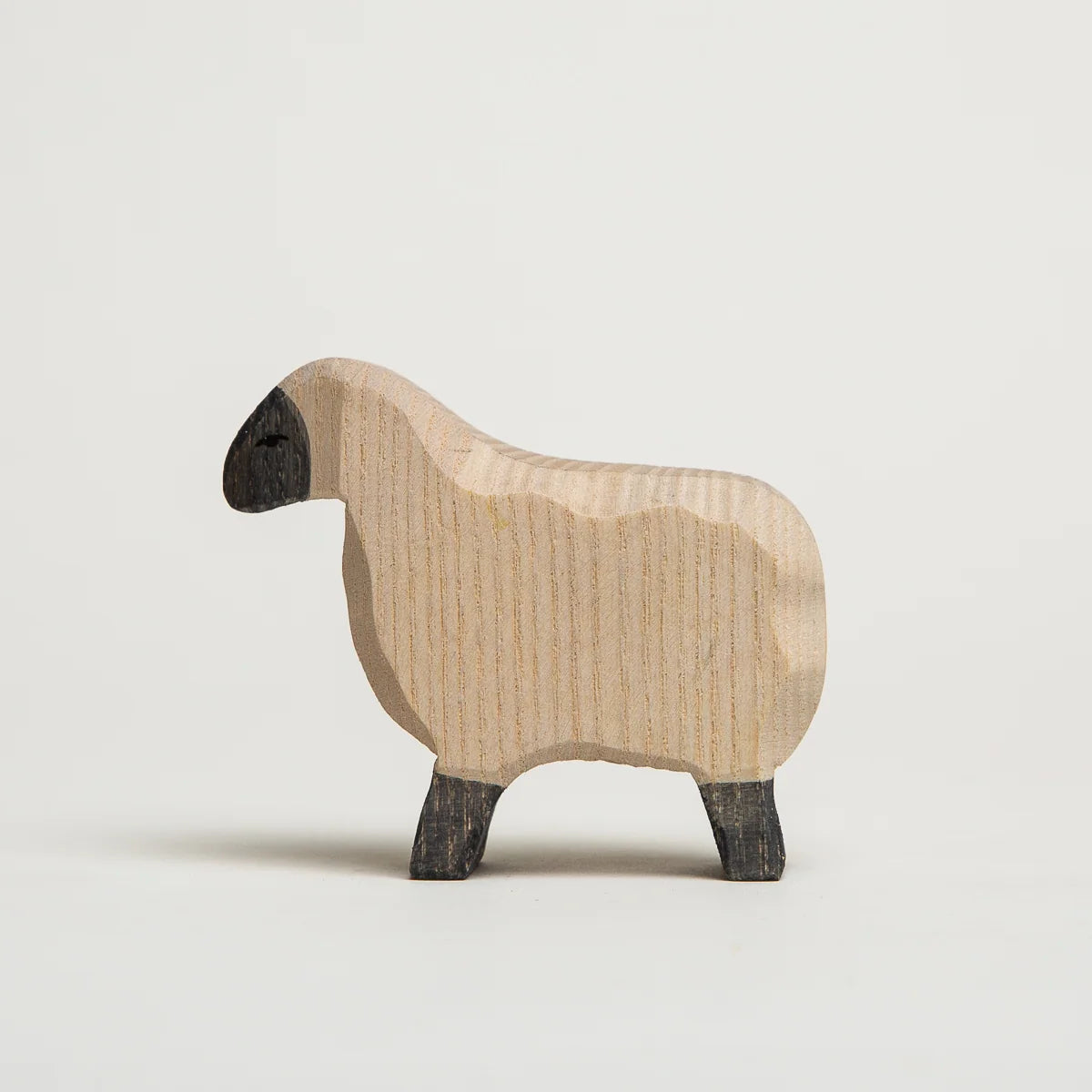 MOORLAND SHEEP