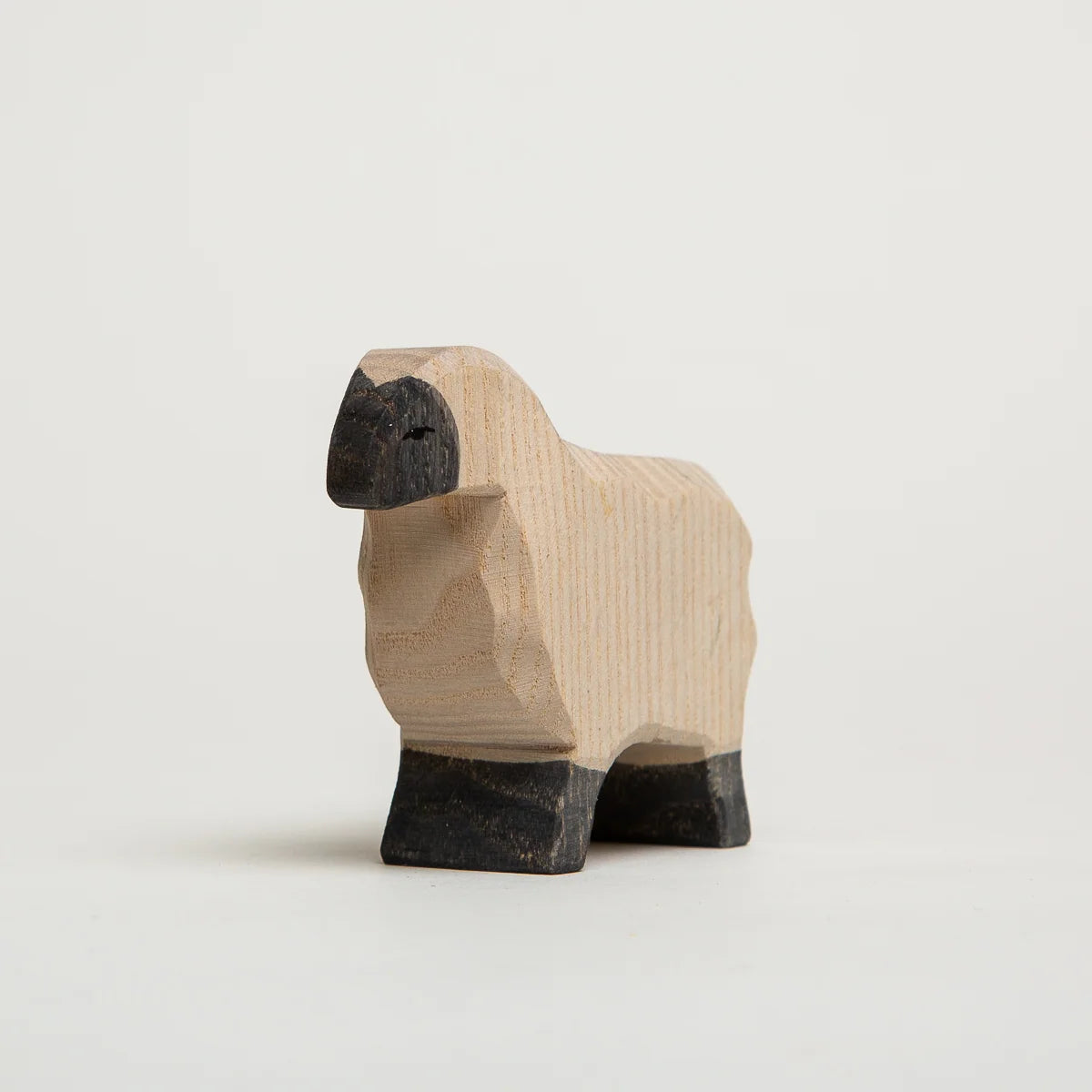 MOORLAND SHEEP