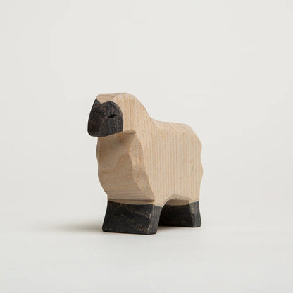 MOORLAND SHEEP