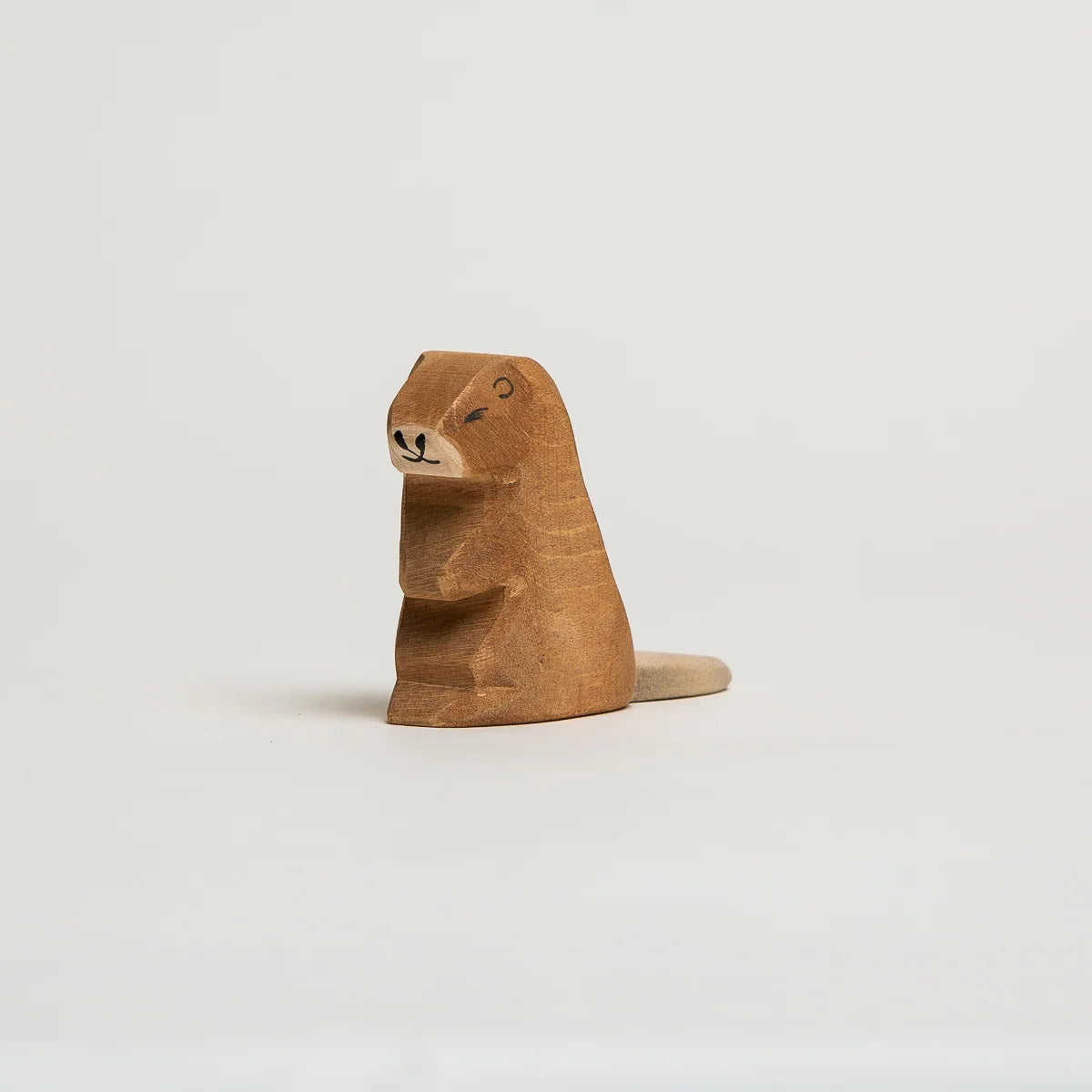BEAVER SITTING