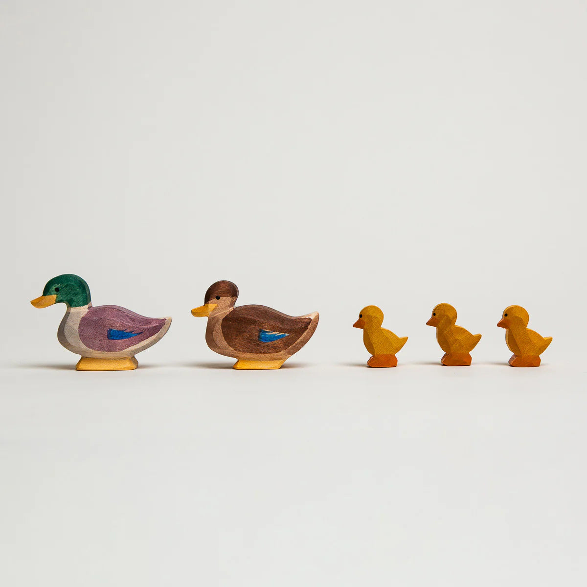 DUCK SWIMMING