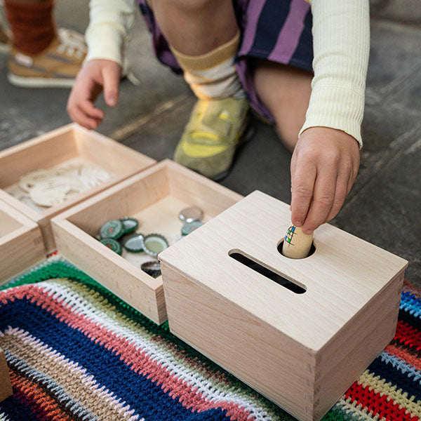 OBJECT PERMANENCE BOX