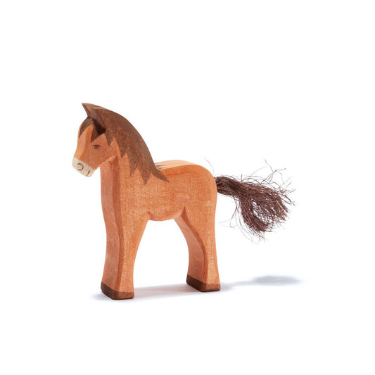 HORSE COLT