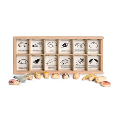 WILD EXPLORATION SET