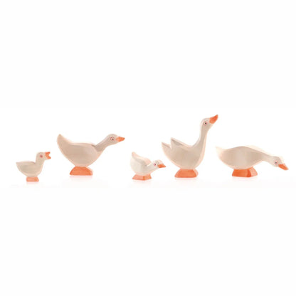 GOSLING HEAD HIGH
