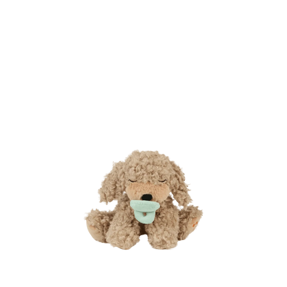 BINKY PUPPY - BENNY GOLD