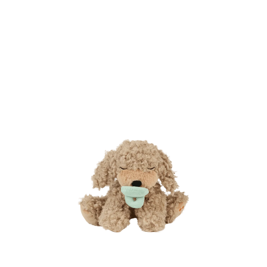 BINKY PUPPY - BENNY GOLD
