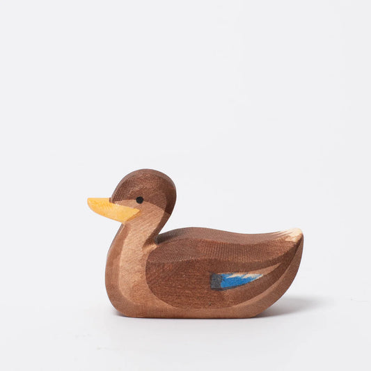 DUCK SWIMMING